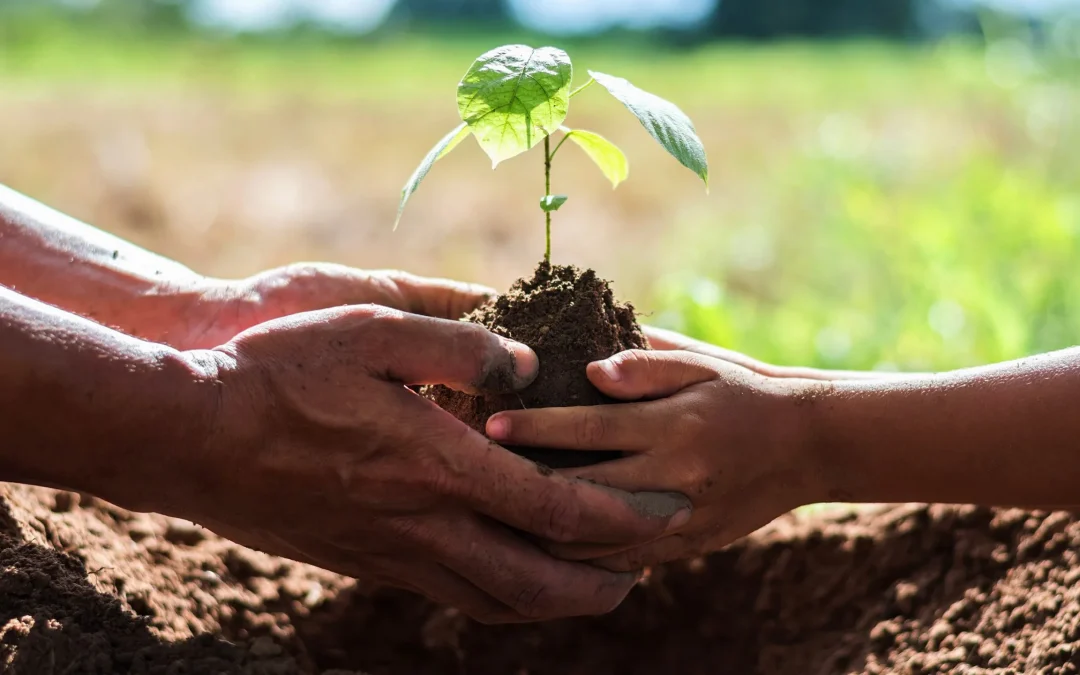 From Acorns to Mighty Oaks: Precision’s Sustainability Story