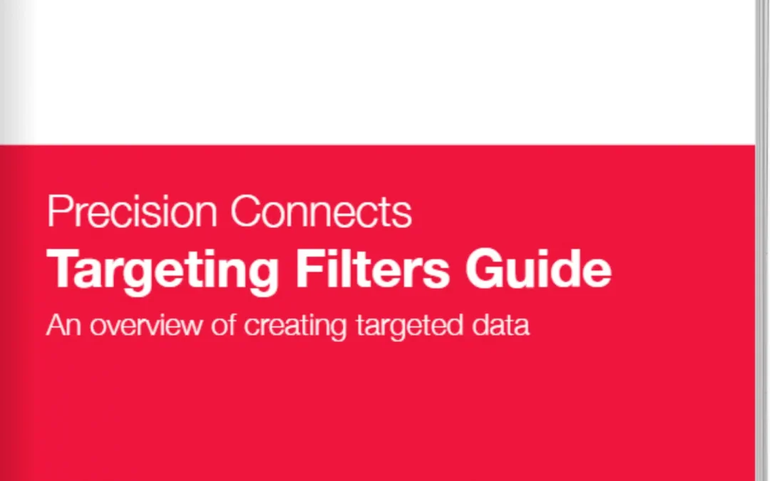 Precision in Data: A comprehensive guide to targeted data creation.