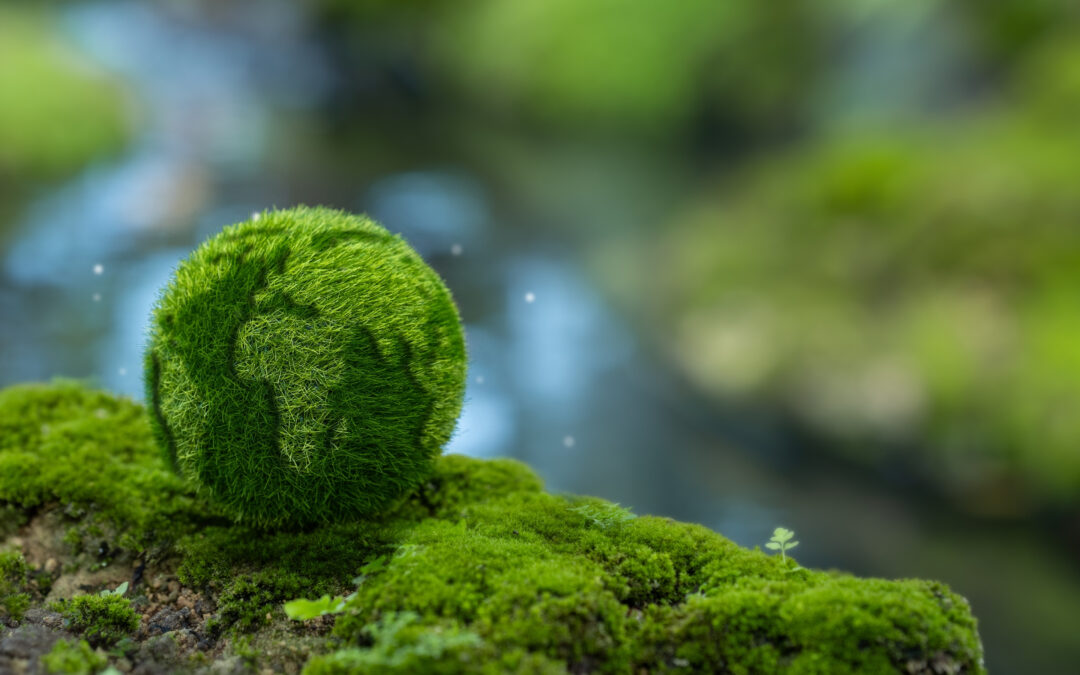 New Sustainability Partners: Precision Steps Further Towards Net Zero